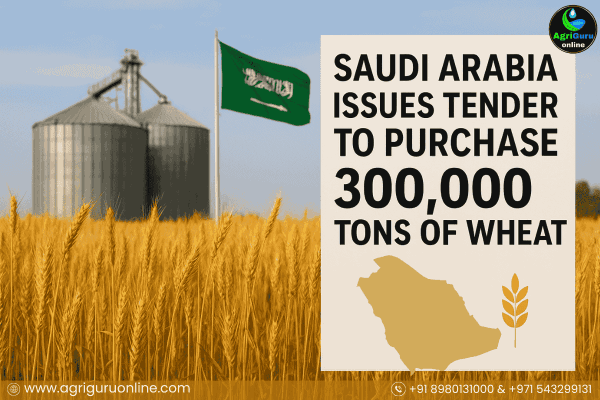 Saudi Arabia Issues Tender to Purchase 300,000 Tons of Wheat