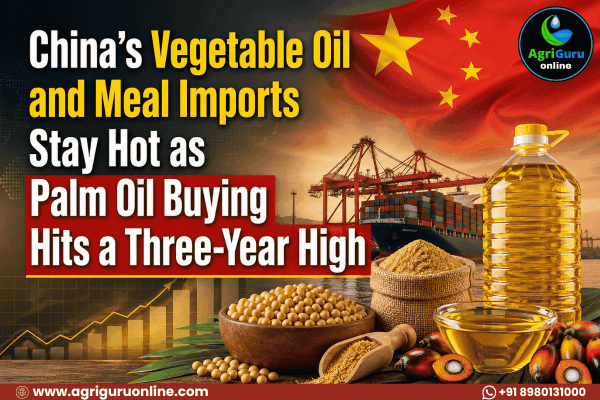 China’s Vegetable Oil and Meal Imports Stay Hot as Palm Oil Buying Hits a Three-Year High