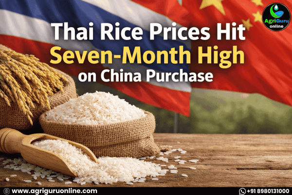 Thai Rice Prices Hit Seven-Month High on China Purchase