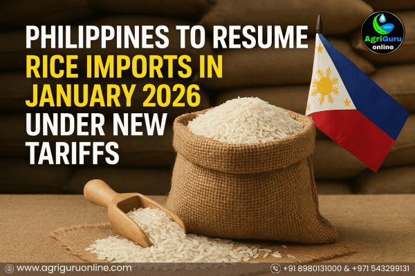 Philippines to Resume Rice Imports in January 2026 Under New Tariffs