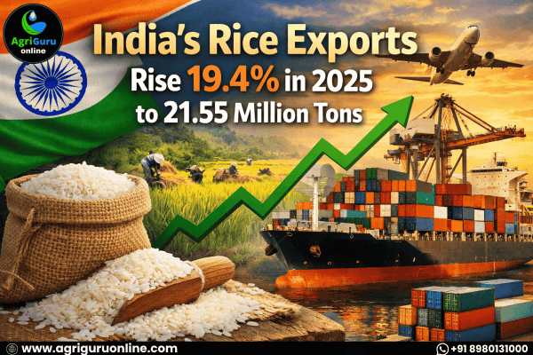India’s Rice Exports Rise 19.4% in 2025 to 21.55 Million Tons