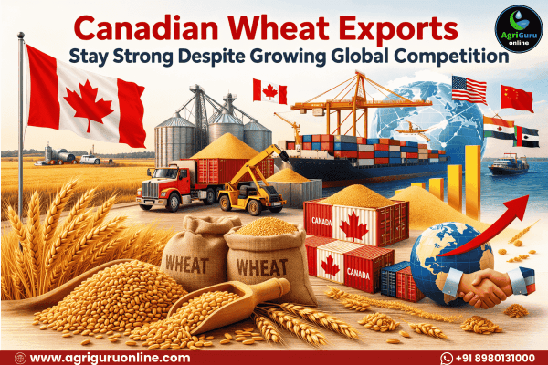 Canadian Wheat Exports Stay Strong Despite Growing Global Competition