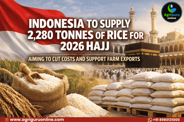 Indonesia to Supply 2,280 Tonnes of Rice for 2026 Hajj, Aiming to Cut Costs and Support Farm Exports