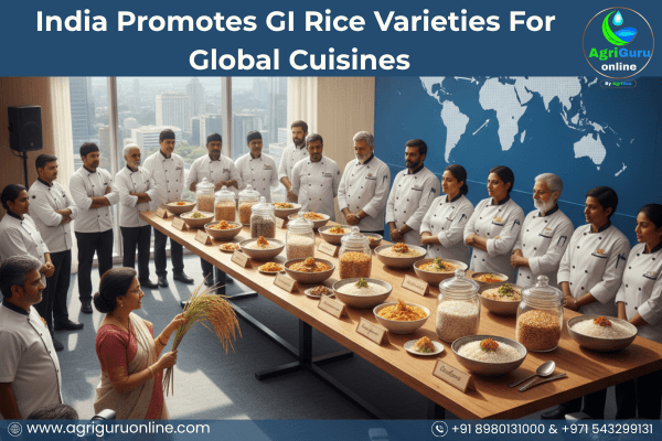 India Promotes GI Rice Varieties For Global Cuisines