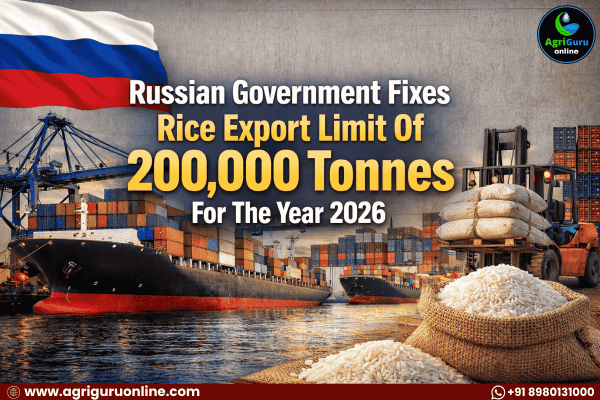 Russian government fixes rice export limit of 200,000 tones for the Year 2026