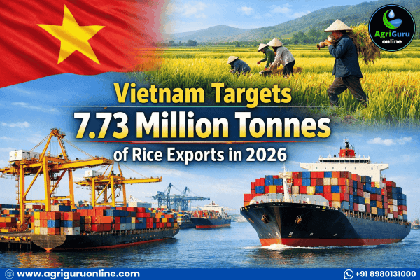 Vietnam Eyes 7.73 Million Tonnes Rice Exports for 2026 Amid Yield Gains