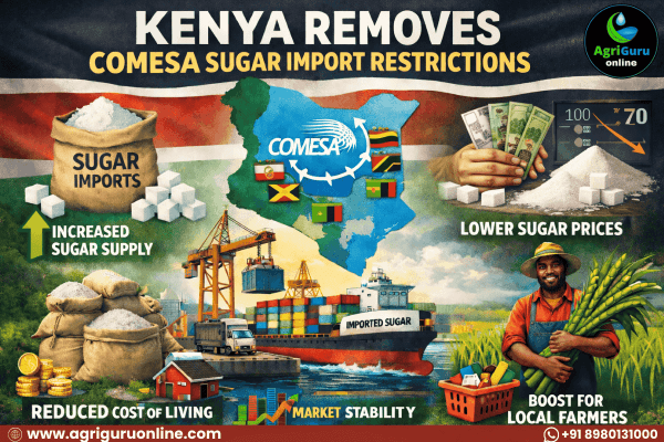 Kenya Removes Comesa Sugar Import Restrictions