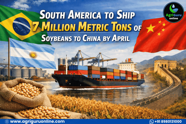 South America to Ship 7 Million Metric Tons of Soybeans to China by April