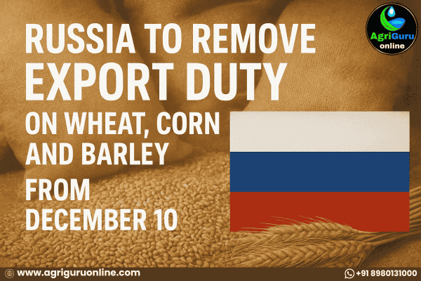 Russia to Remove Export Duty on Wheat, Corn and Barley from December 10
