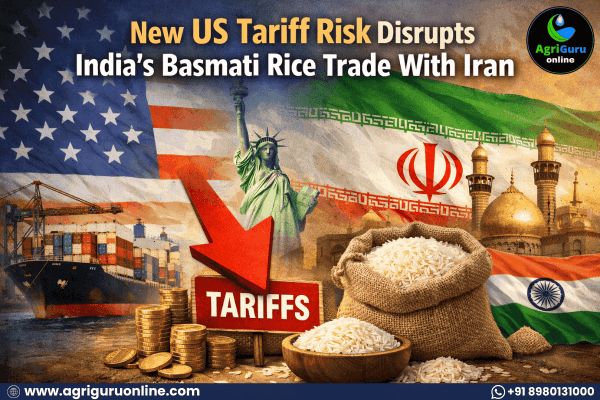 New US Tariff Risk Disrupts India’s Basmati Rice Trade With Iran