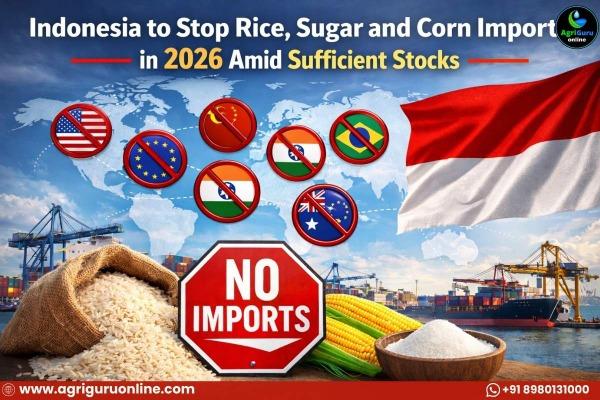 Indonesia to Stop Rice, Sugar and Corn Imports in 2026 Amid Sufficient Stocks