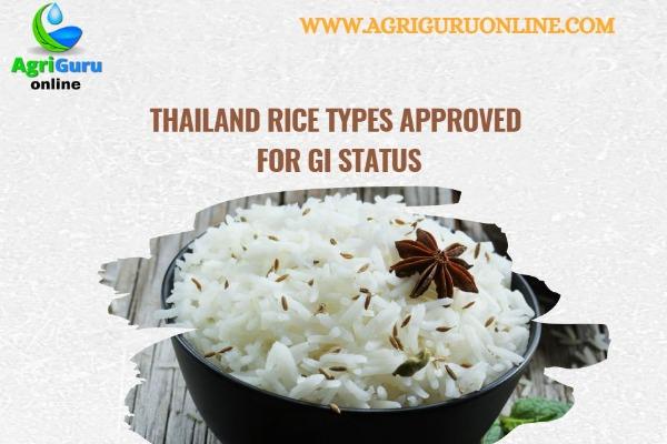 Thailand Rice Types approved for GI Status