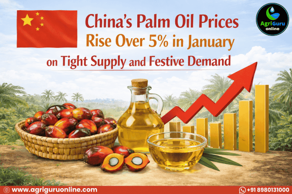 China’s Palm Oil Prices Rise Over 5% in January on Tight Supply and Festive Demand