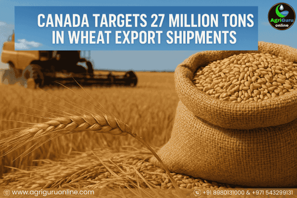 Canada Targets 27 Million Tons in Wheat Export