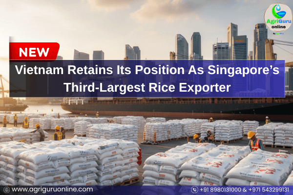 Vietnam Retains Its Position As Singapore’s Third-Largest Rice Exporter