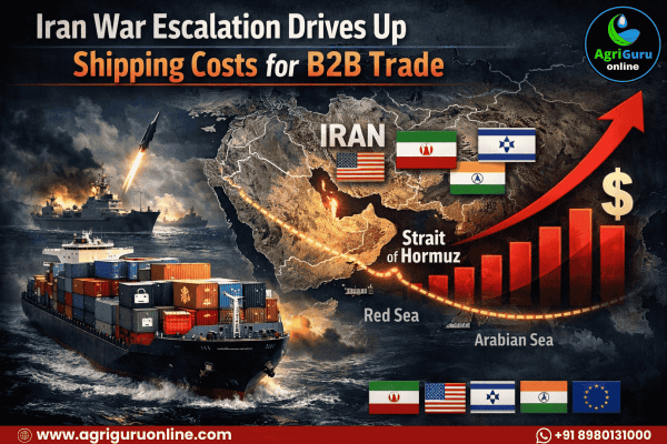 Iran War Escalation Drives Up Shipping Costs for B2B Trade