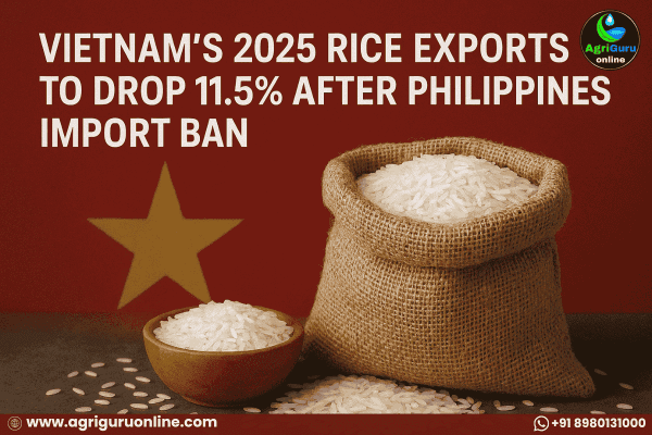 Vietnam’s 2025 Rice Exports to Drop 11.5% After Philippines Import Ban