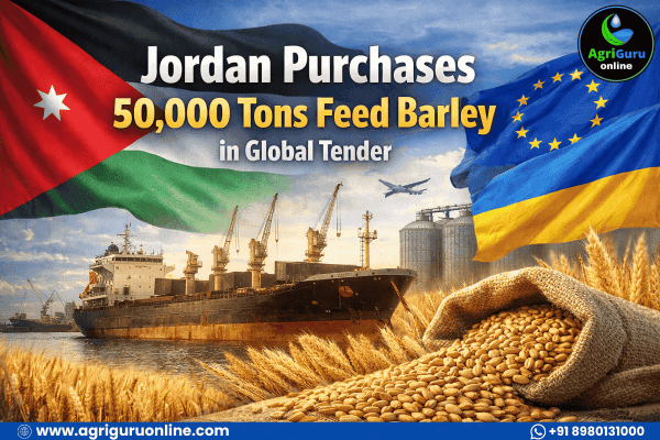Jordan Purchase  50,000 Tons Feed Barley in Global Tender