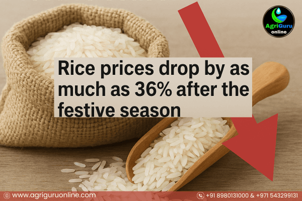 Rice Prices Drop By As Much As 36% After The Festive Season
