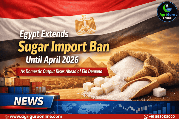 Egypt Extends Sugar Import Ban Until April 2026 as Domestic Output Rises Ahead of Eid Demand