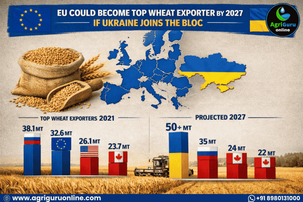 EU Could Become Top Wheat Exporter by 2027 if Ukraine Joins Bloc