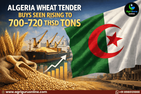 Algeria Wheat Tender Buys Seen Rising to 700–720 Thsd Tons