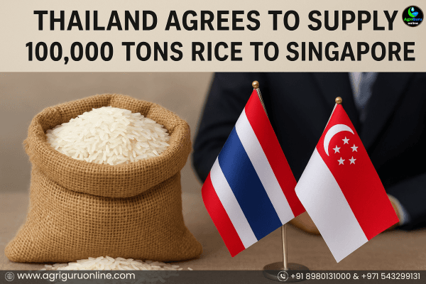 Thailand Agrees to Supply 100,000 Tons Rice to Singapore Under MoU
