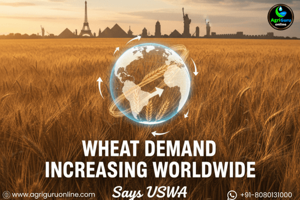 Wheat Demand Increasing Worldwide, Says USWA