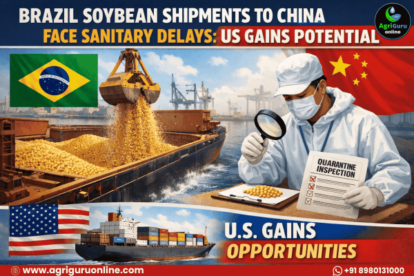 Brazil Soybean Shipments to China Face Sanitary Delays: US Gains Potential