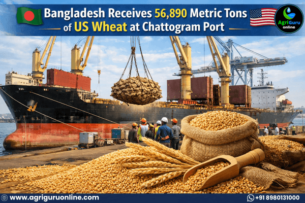 Bangladesh Receives 56,890 Metric Tons of US Wheat at Chattogram Port