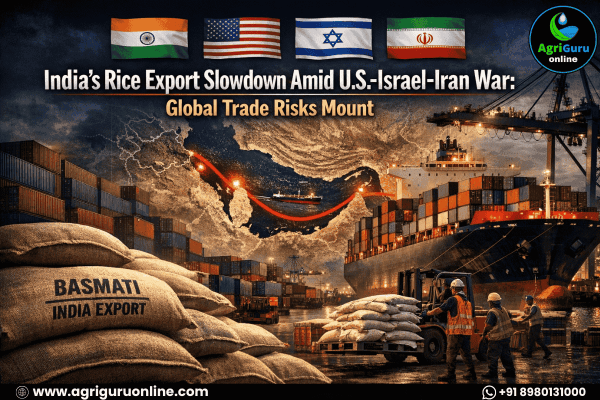 India's Rice Export Slowdown Amid U.S.-Israel-Iran War: Global Trade Risks Mount