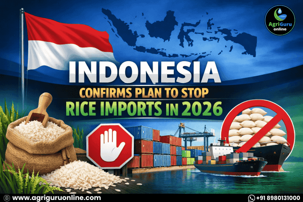 Indonesia Confirms Plan to Stop Rice Imports in 2026