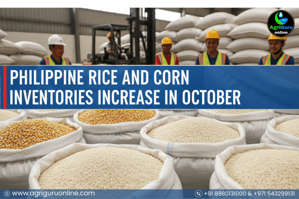 Philippine Rice And Corn Inventories Increase In October