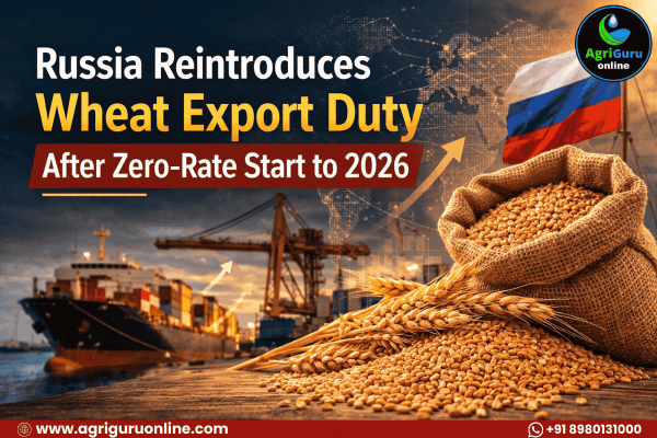 Russia Reintroduces Wheat Export Duty After Zero-Rate Start to 2026