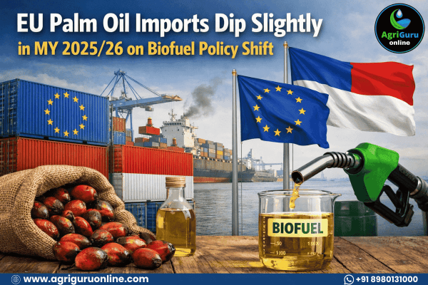 EU Palm Oil Imports Dip Slightly in MY 2025/26 on Biofuel Policy Shift