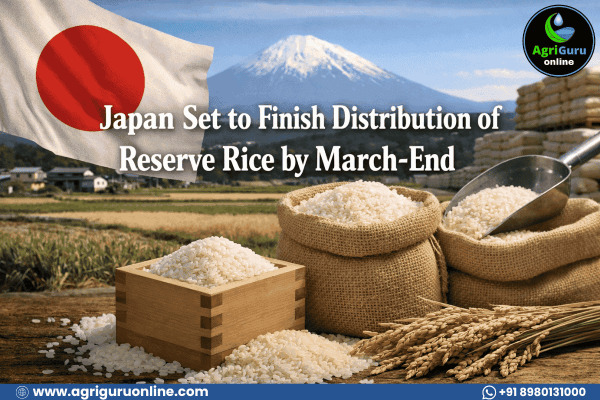Japan Set to Finish Distribution of Reserve Rice by March-End Following Extended Timeline