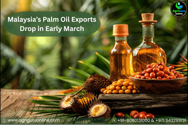 Malaysia’s Palm Oil Exports Drop in Early March