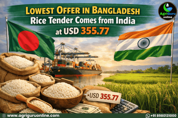 Lowest Offer in Bangladesh Rice Tender Comes from India at USD 355.77