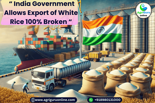 Indian Government Allows Export of White Rice 100% Broken