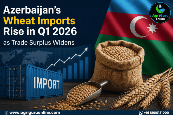 Azerbaijan’s Wheat Imports Rise in Q1 2026 as Trade Surplus Widens