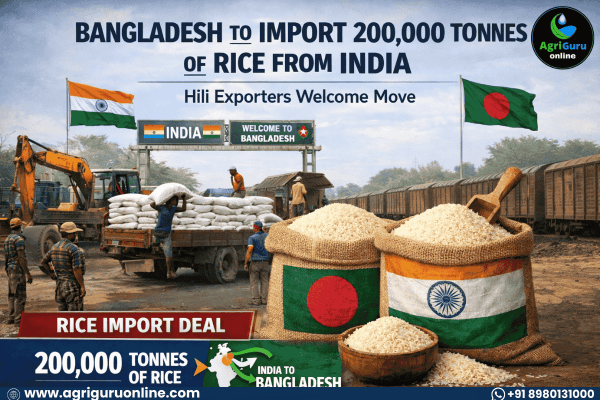 Bangladesh to Import 200,000 Tonnes of Rice from India, Hili Exporters Welcome Move