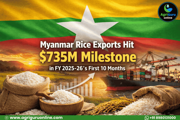 Myanmar Rice Exports Hit $735M Milestone in FY 2025-26's First 10 Months