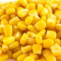 Indian Yellow Corn / Maize
