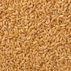 Indian Milling Wheat