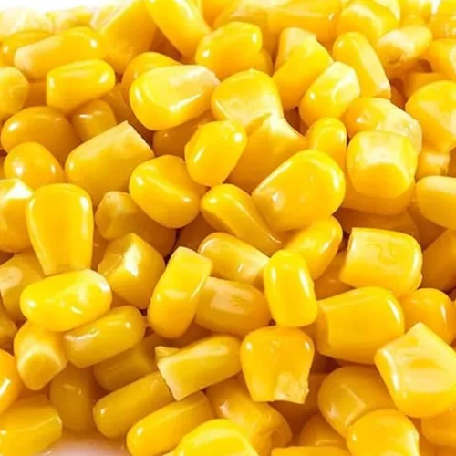 Indian Yellow Corn / Maize