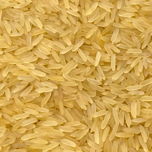 PR11 Golden Rice
