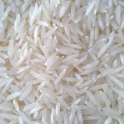 Sona Masoori Steam Rice