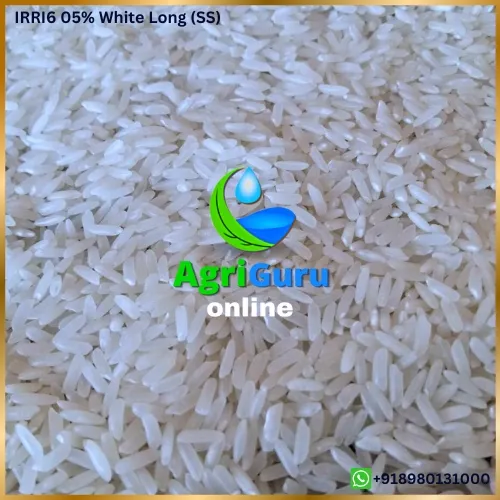 IRRI6 White Rice 05%
