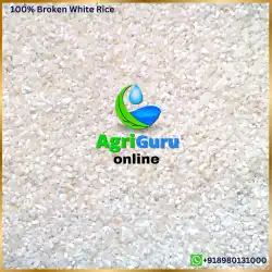 IRRI6 White 100% Broken