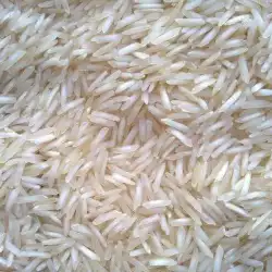 PR11 Steam Rice